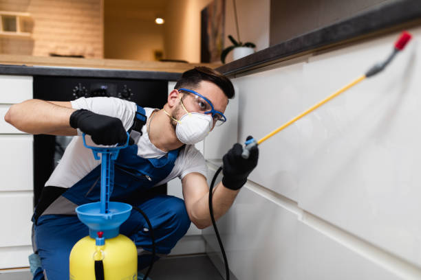 Best Bed Bug Extermination  in Princevle, IL