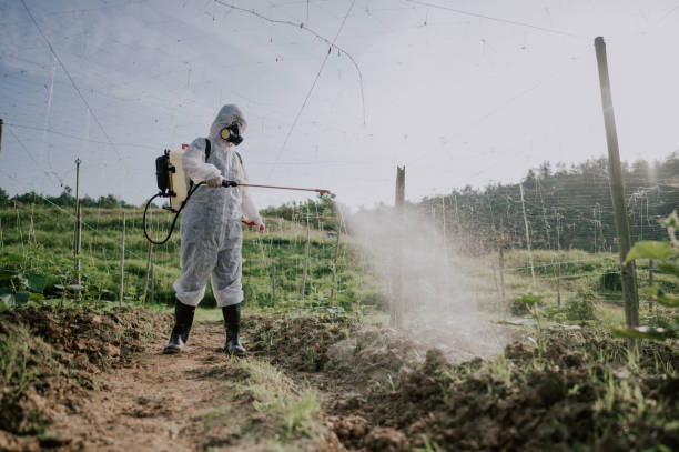 Best Best Pest Control Companies  in Princevle, IL