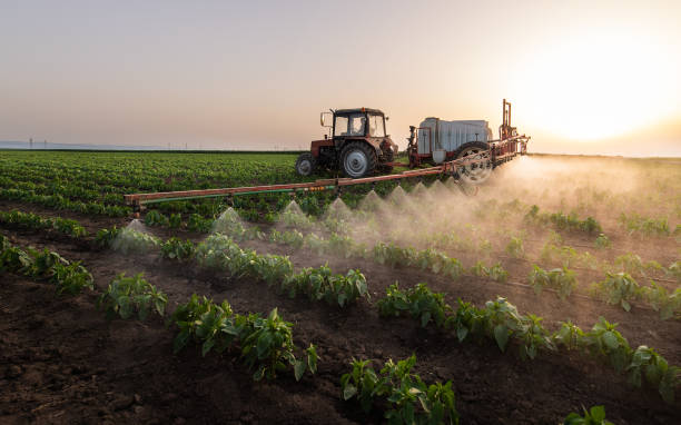 Best Pest Control Near Me in Princeville, IL