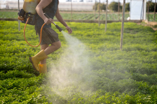 Best Mosquito Control Services  in Princevle, IL